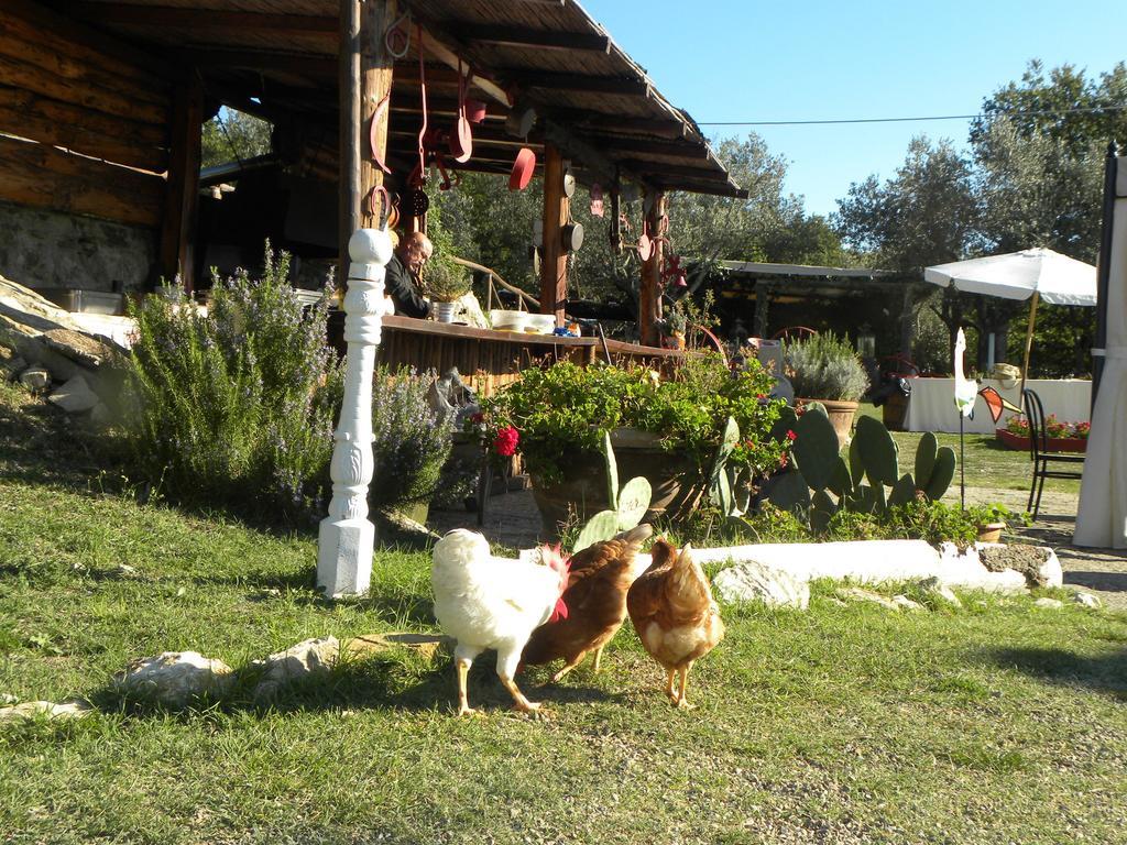 Country Resort Il Frassine Rignano sullʼArno Εξωτερικό φωτογραφία